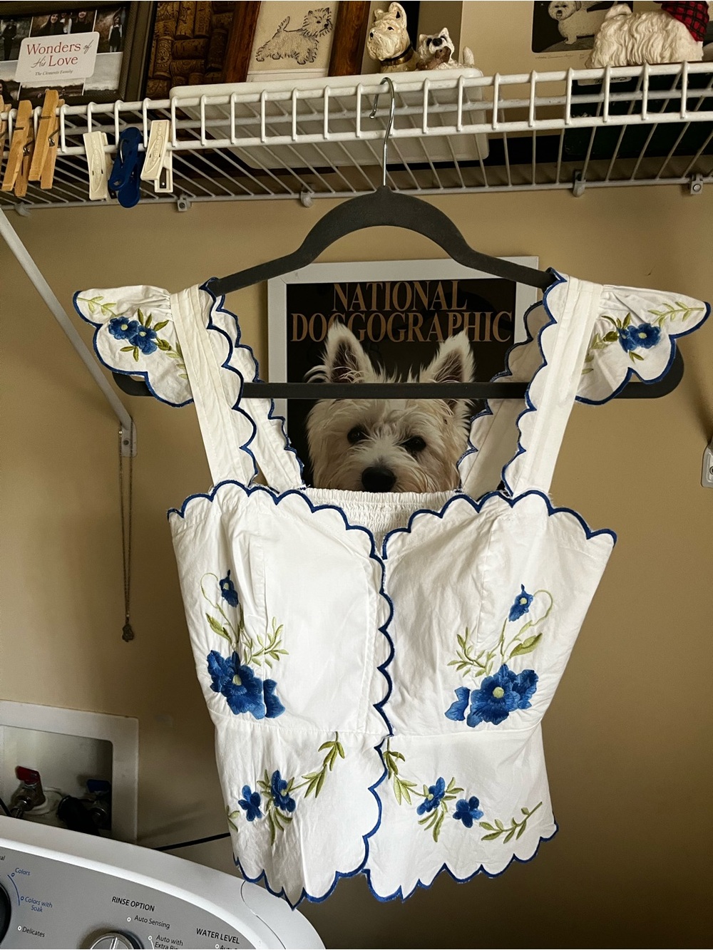 Anthropologie White with Blue Floral Embroidery - Picture 2 of 9
